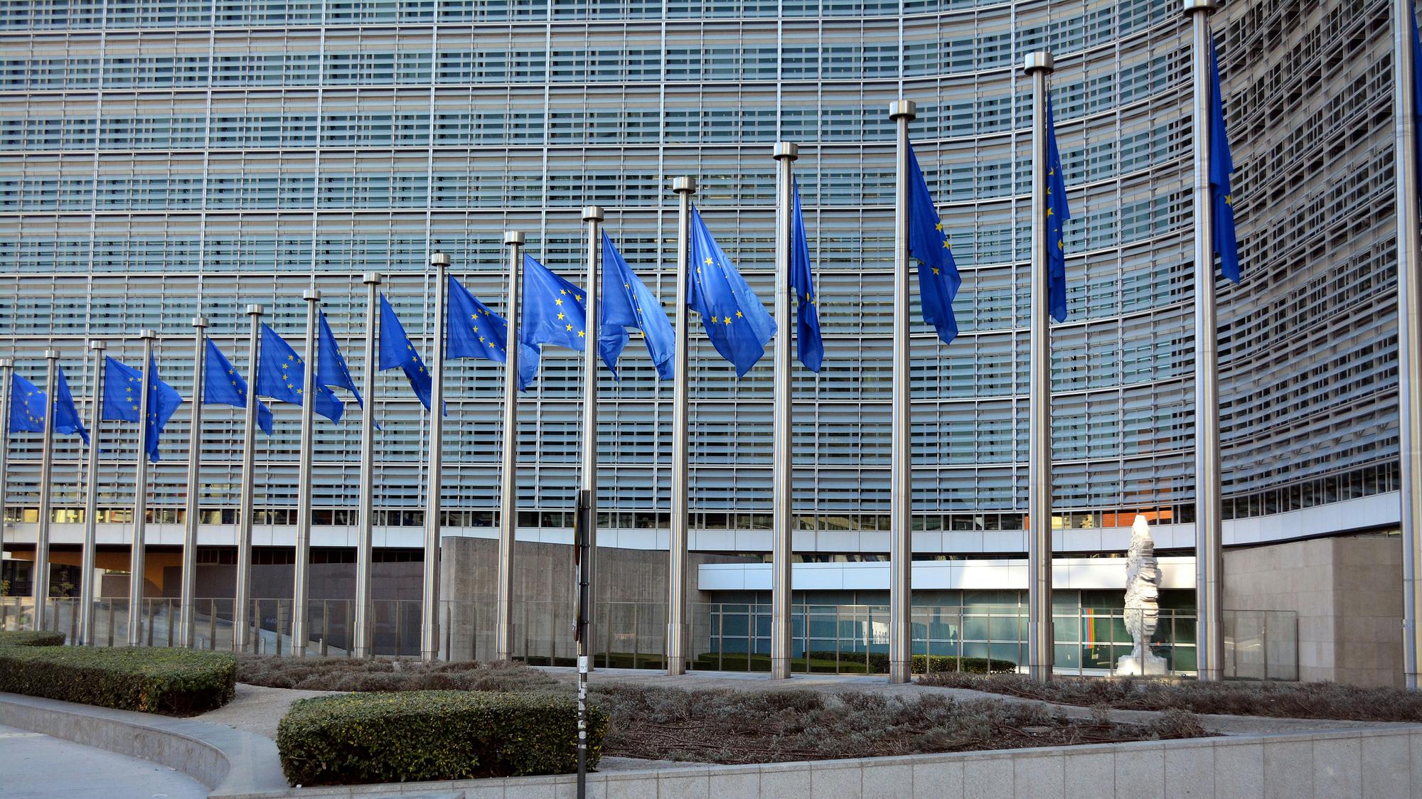 Brusselreis 2025
